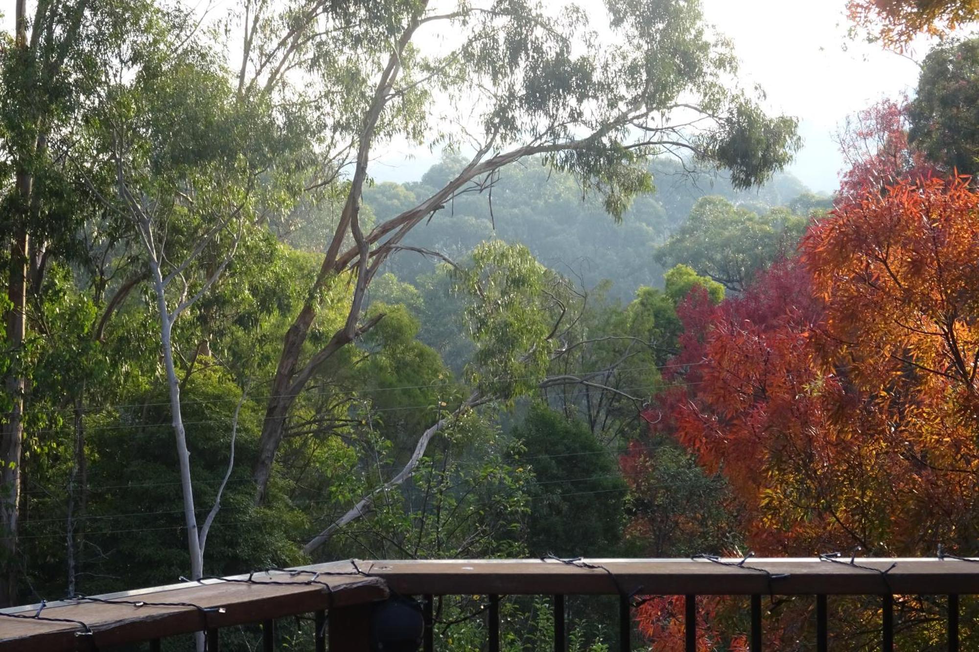 Yarra Ranges Country Apartment Mount Evelyn Esterno foto