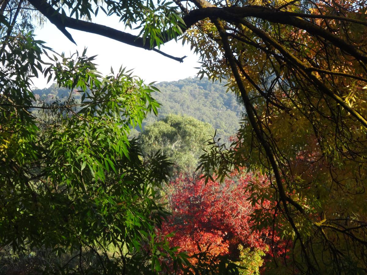 Yarra Ranges Country Apartment Mount Evelyn Esterno foto