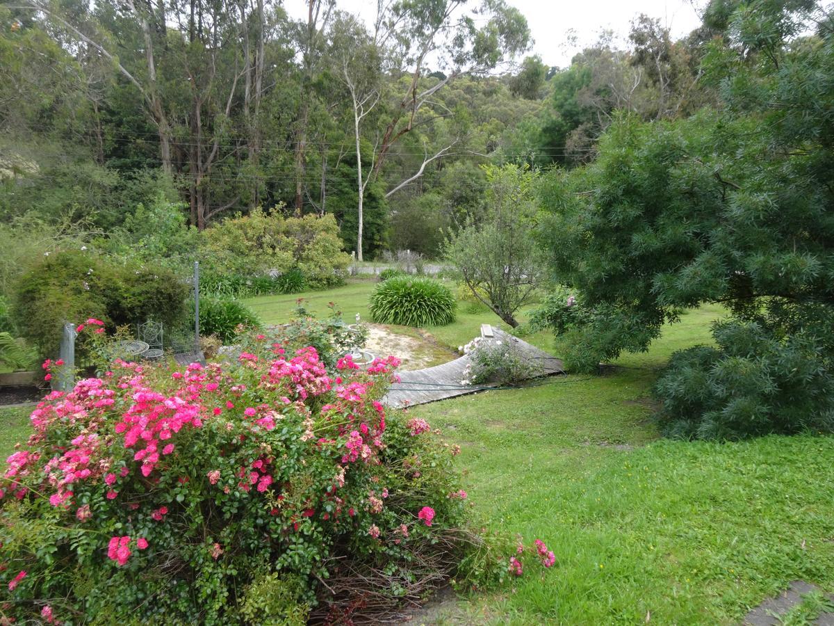 Yarra Ranges Country Apartment Mount Evelyn Esterno foto