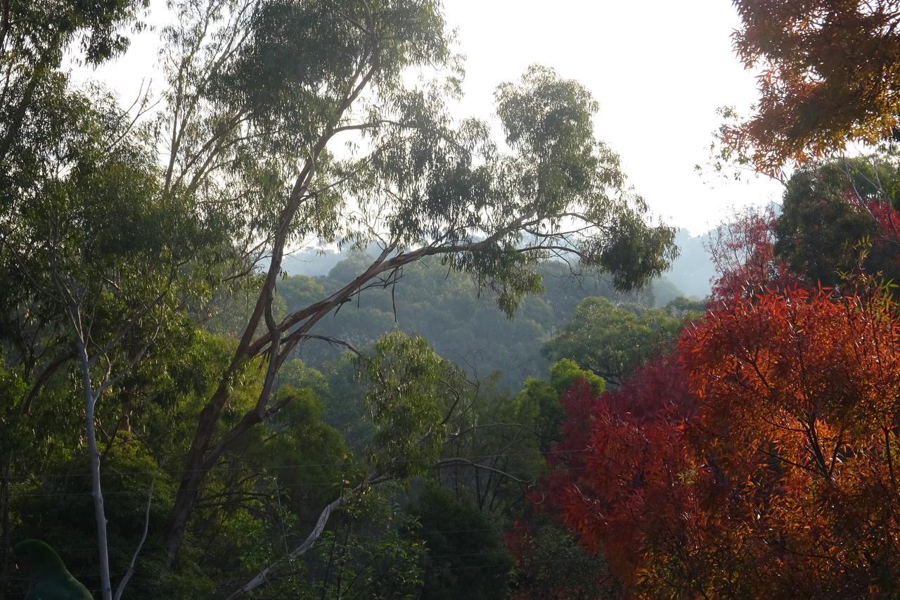 Yarra Ranges Country Apartment Mount Evelyn Esterno foto