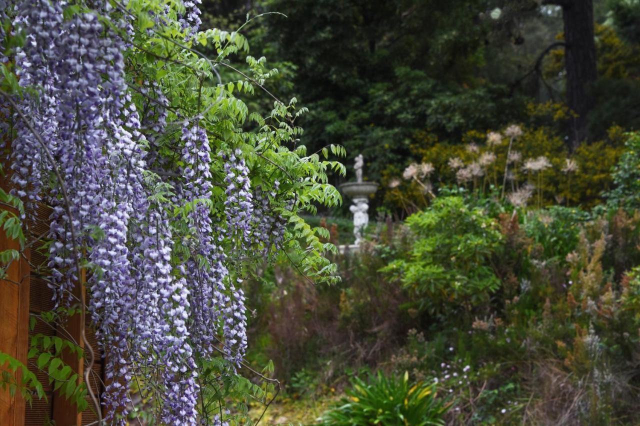 Yarra Ranges Country Apartment Mount Evelyn Esterno foto