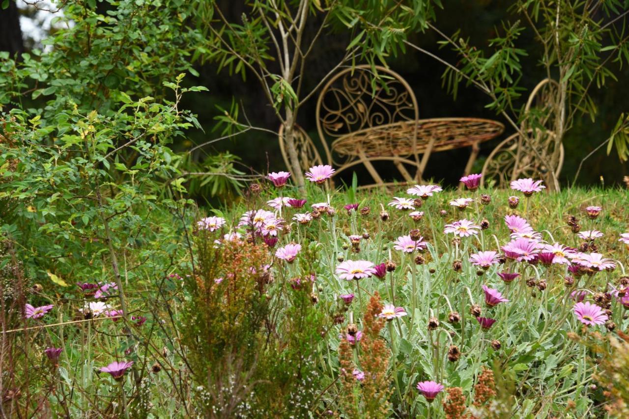 Yarra Ranges Country Apartment Mount Evelyn Esterno foto