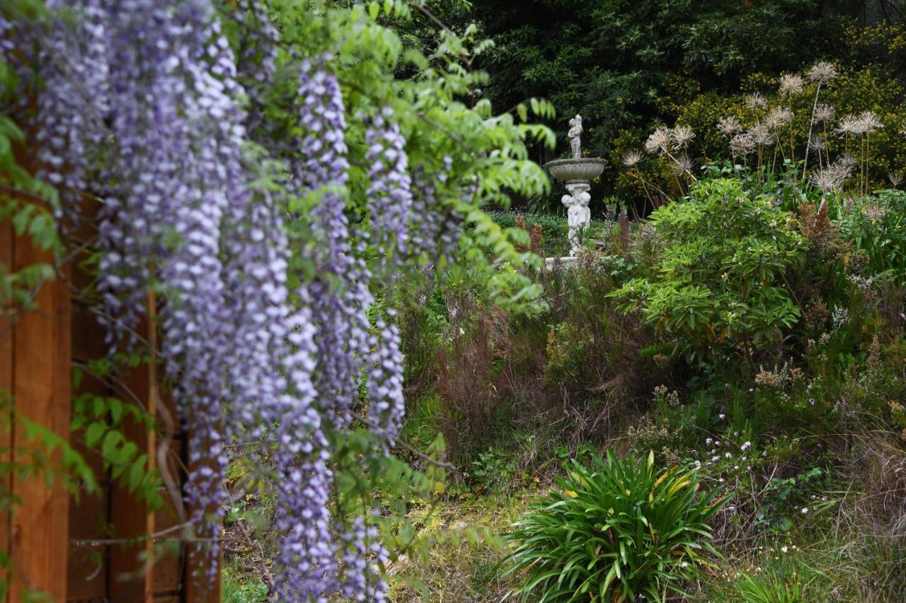 Yarra Ranges Country Apartment Mount Evelyn Esterno foto