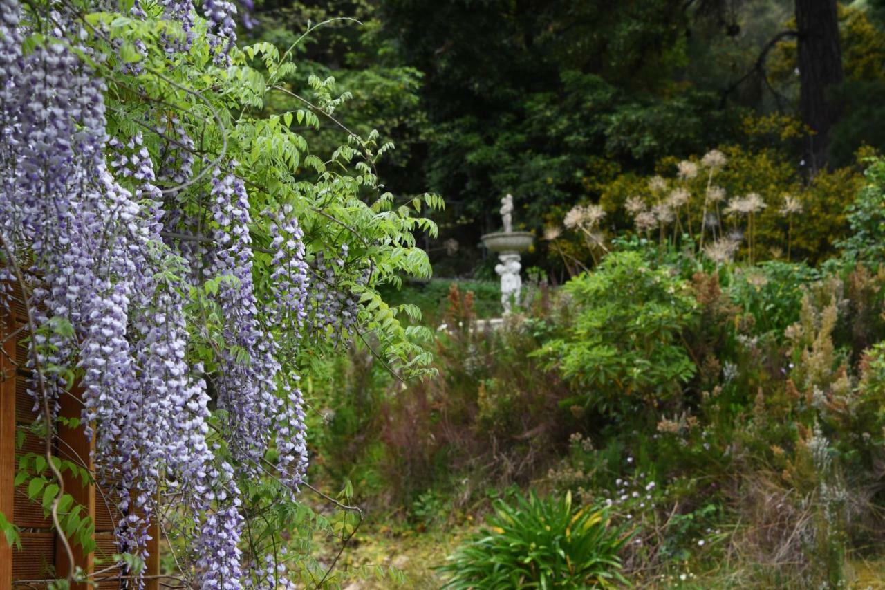 Yarra Ranges Country Apartment Mount Evelyn Esterno foto